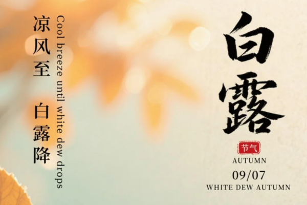 麦稻中式健康菜一口温热，品尽人间清欢